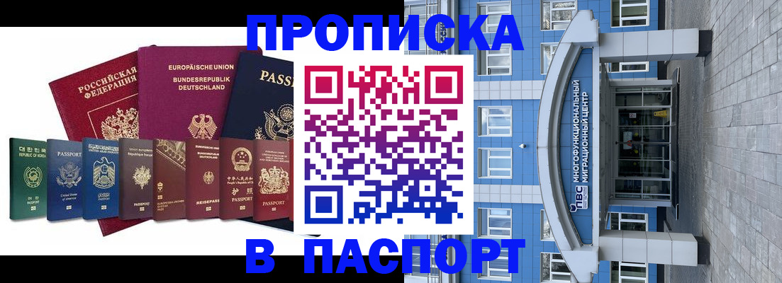 прописка штамп в Новосибирской области